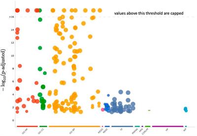 How the latent geometry of a biological network provides information on its dynamics: the case of the gene network of chronic myeloid leukaemia